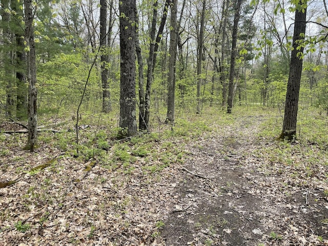 16622 Steinberg Rd, Wellston, MI 49689