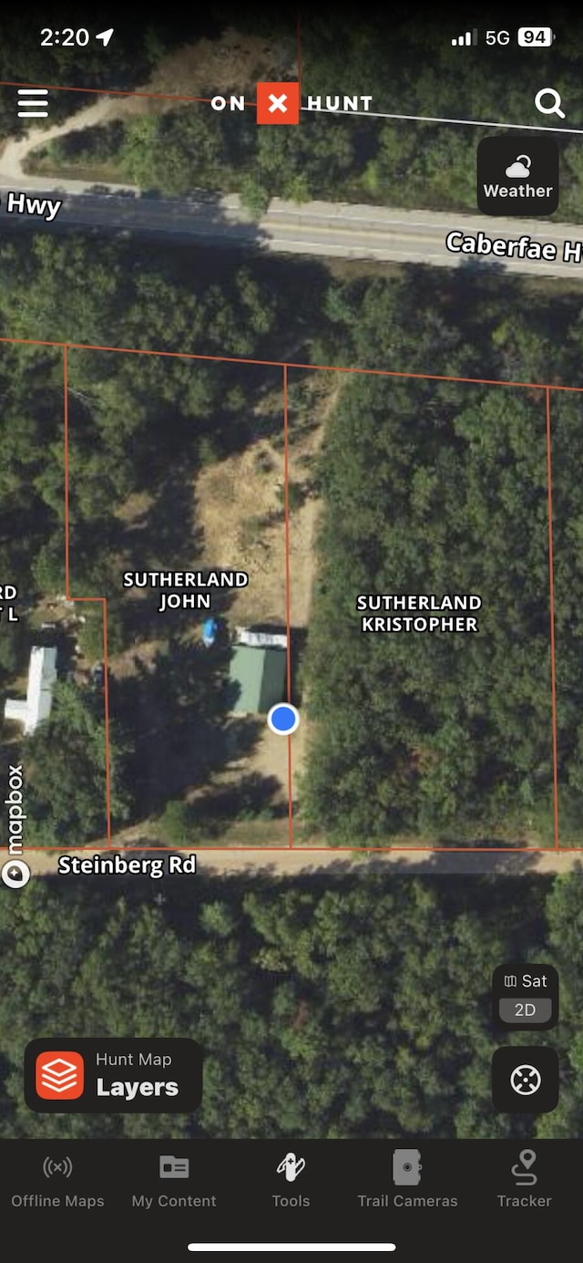 16622 Steinberg Rd, Wellston, MI 49689