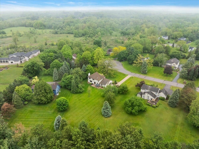 4047 Ramsgate Ct, Ann Arbor, MI 48103 - aerial perspective of suburban area