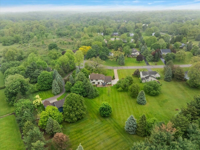 4047 Ramsgate Ct, Ann Arbor, MI 48103 - aerial view of a forest