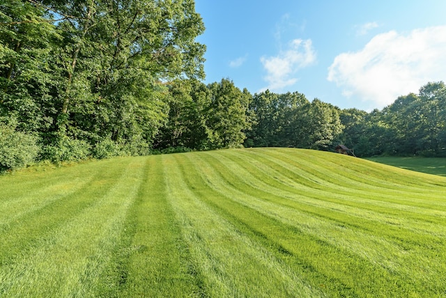 6606 Spaniel Dr, Kalamazoo, MI 49009 - view of green lawn
