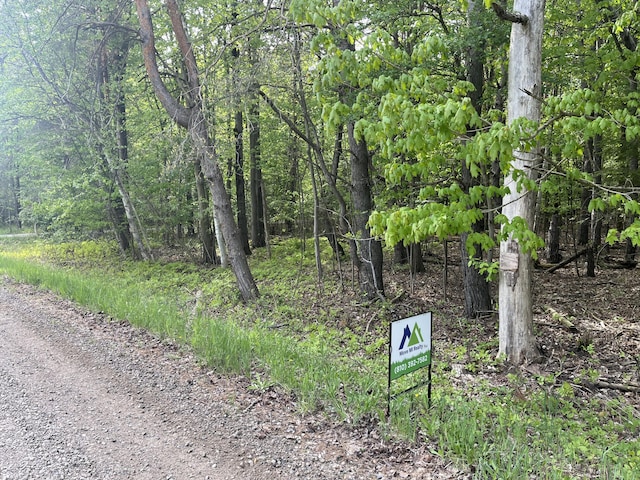 Mortimer Line Rd, Croswell, MI 48422