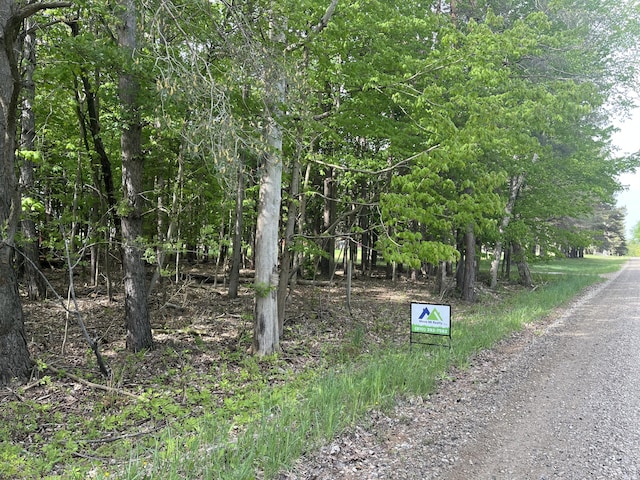 Mortimer Line Rd, Croswell, MI 48422