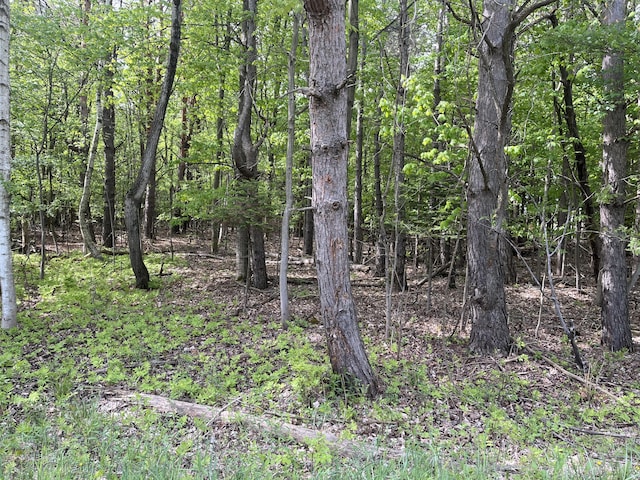 Mortimer Line Rd, Croswell, MI 48422