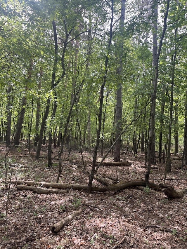 Mortimer Line Rd, Croswell, MI 48422
