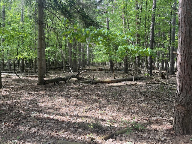 Mortimer Line Rd, Croswell, MI 48422