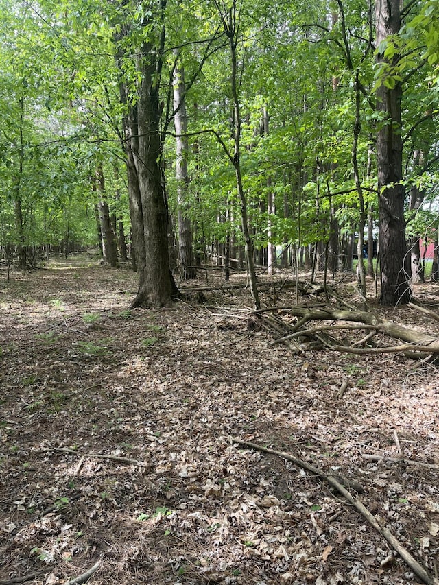 Mortimer Line Rd, Croswell, MI 48422
