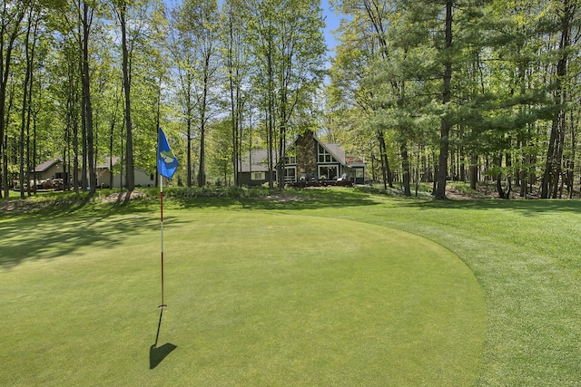 9787 Center Ln, Canadian Lakes, MI 49346 - view of home's community featuring an area to practice putting and a yard