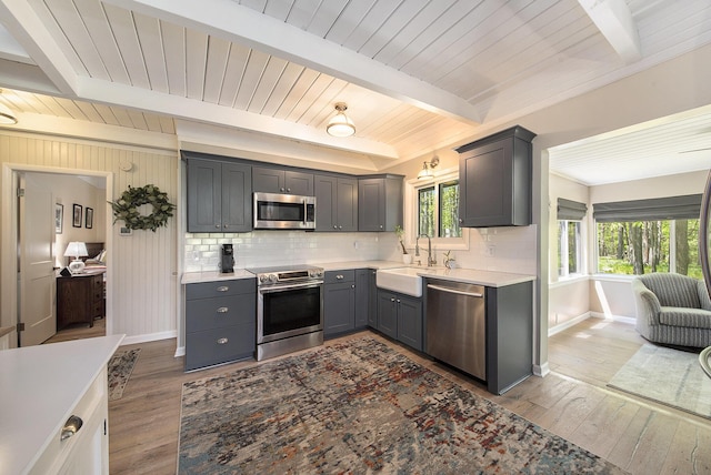 9787 Center Ln, Canadian Lakes, MI 49346 - kitchen featuring stainless steel appliances, a sink, tasteful backsplash, dark wood-type flooring, and light countertops