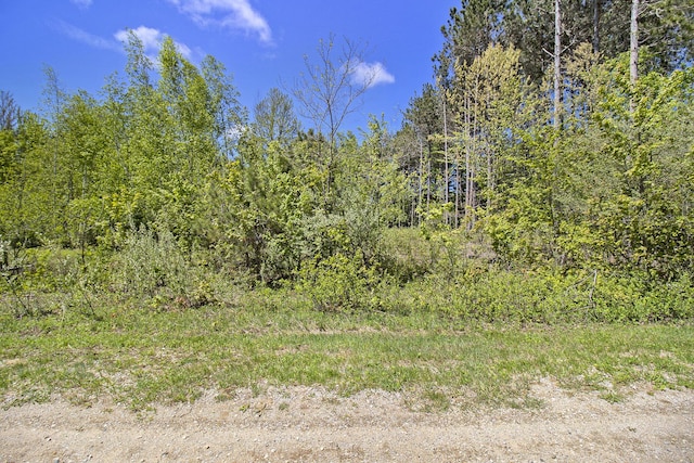LOT36 N Pine Ridge Dr, Ludington, MI 49431