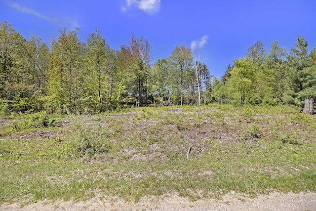 LOT36 N Pine Ridge Dr, Ludington, MI 49431