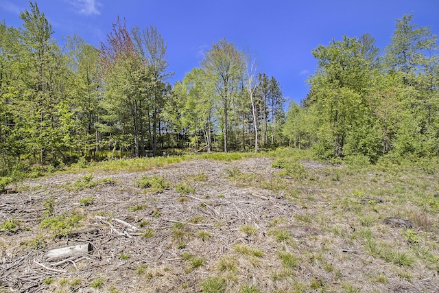 LOT36 N Pine Ridge Dr, Ludington, MI 49431