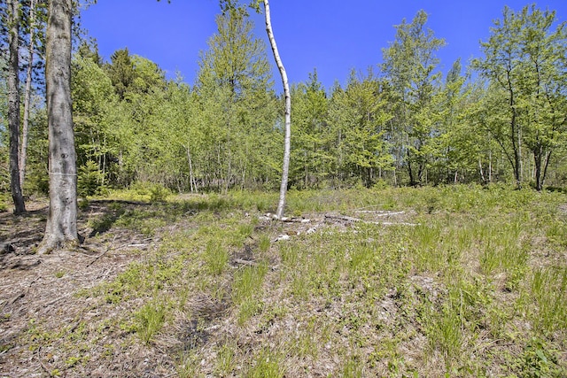 LOT36 N Pine Ridge Dr, Ludington, MI 49431