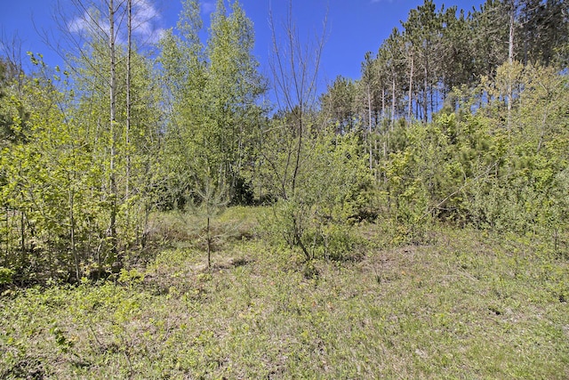LOT36 N Pine Ridge Dr, Ludington, MI 49431