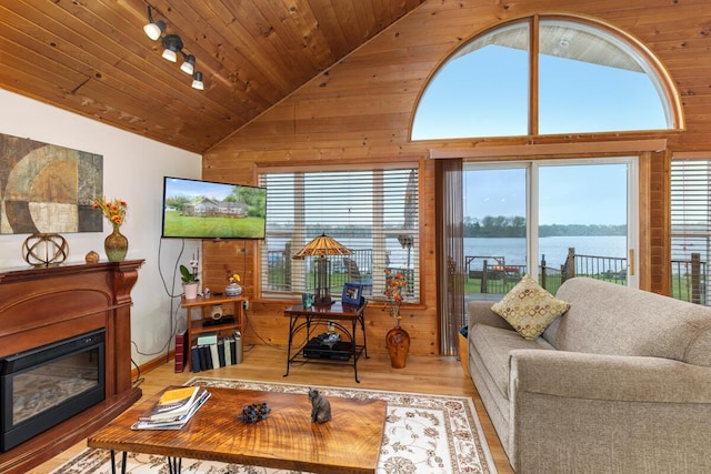 13341 Clausen Rd, Trufant, MI 49347 - living room featuring wooden ceiling, wooden walls, wood finished floors, a glass covered fireplace, and high vaulted ceiling