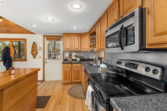 13341 Clausen Rd, Trufant, MI 49347 - kitchen with appliances with stainless steel finishes, a sink, light wood-style floors, healthy amount of natural light, and a textured ceiling