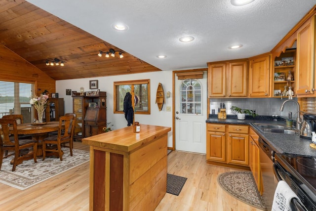 13341 Clausen Rd, Trufant, MI 49347 - kitchen featuring wood counters, a sink, light wood-style floors, open shelves, and backsplash