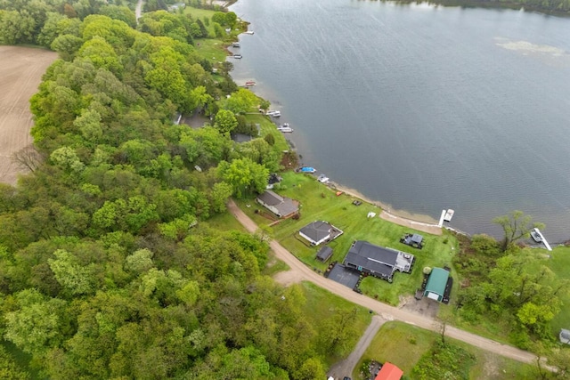 13341 Clausen Rd, Trufant, MI 49347 - drone / aerial view of a large body of water
