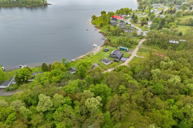 13341 Clausen Rd, Trufant, MI 49347 - aerial view of property and surrounding area with a nearby body of water