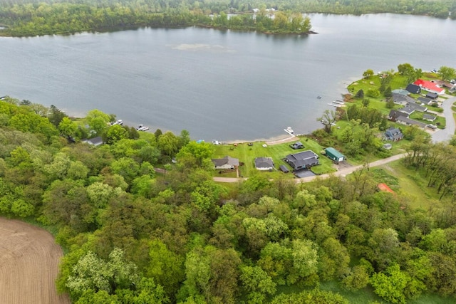 13341 Clausen Rd, Trufant, MI 49347 - aerial view of property and surrounding area featuring a nearby body of water and a forest