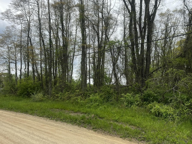 6307 Wilson St, Coloma, MI 49038