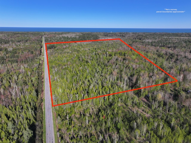 V/L60A E Walker Rd, Harrisville, MI 48740