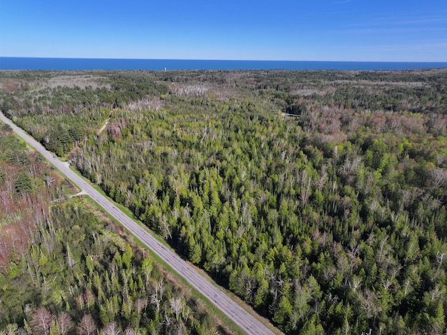V/L60A E Walker Rd, Harrisville, MI 48740