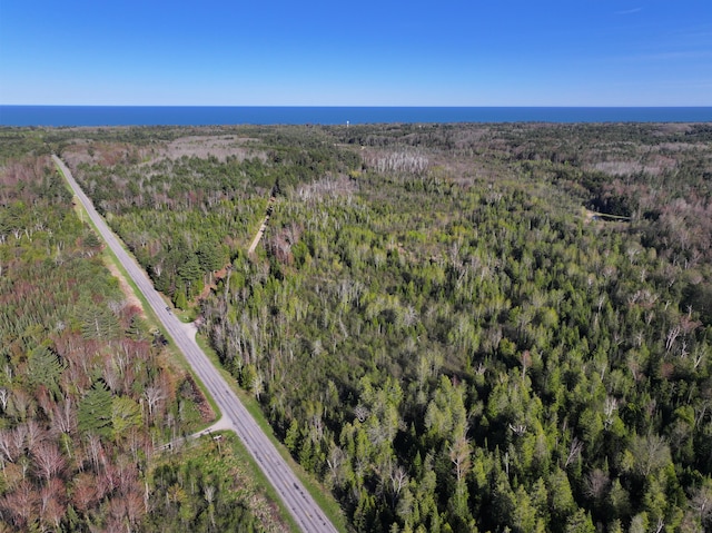 V/L60A E Walker Rd, Harrisville, MI 48740