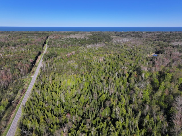 V/L60A E Walker Rd, Harrisville, MI 48740