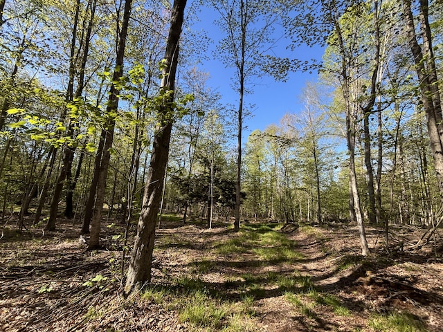 V/L60A E Walker Rd, Harrisville, MI 48740