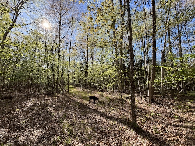 V/L60A E Walker Rd, Harrisville, MI 48740