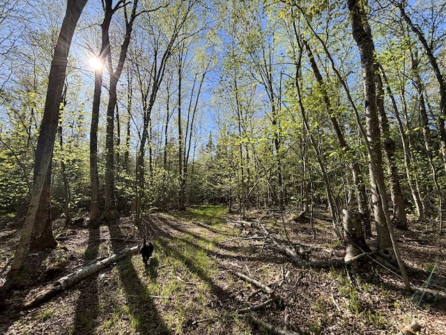 V/L60A E Walker Rd, Harrisville, MI 48740