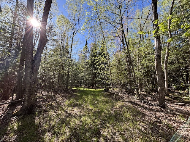 V/L60A E Walker Rd, Harrisville, MI 48740