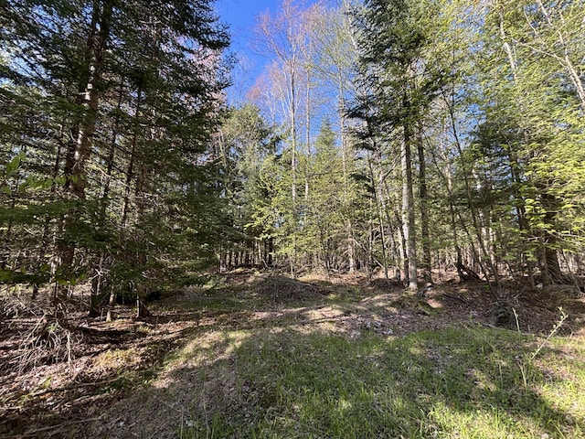 V/L60A E Walker Rd, Harrisville, MI 48740