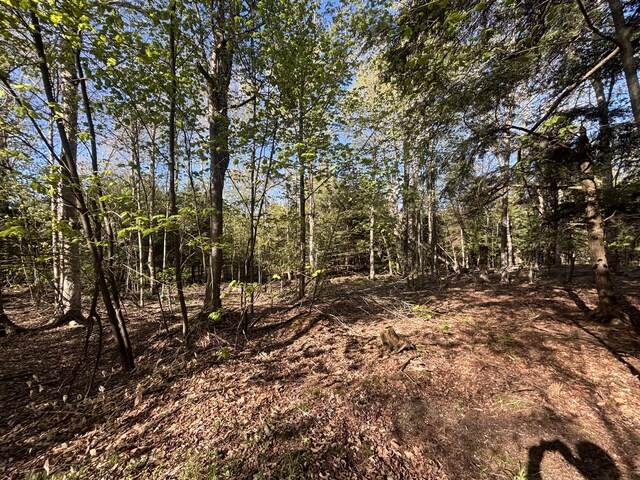 V/L60A E Walker Rd, Harrisville, MI 48740