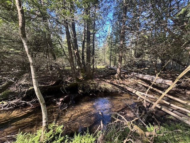 V/L60A E Walker Rd, Harrisville, MI 48740