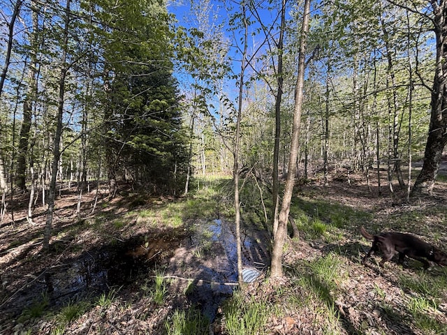 V/L60A E Walker Rd, Harrisville, MI 48740