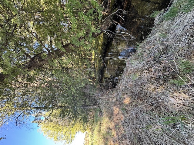 V/L60A E Walker Rd, Harrisville, MI 48740