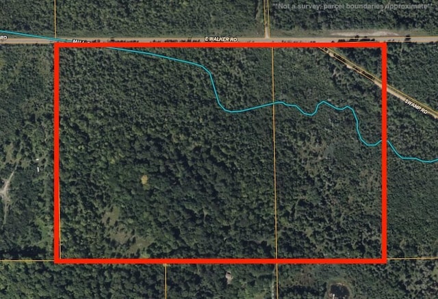 V/L60A E Walker Rd, Harrisville, MI 48740