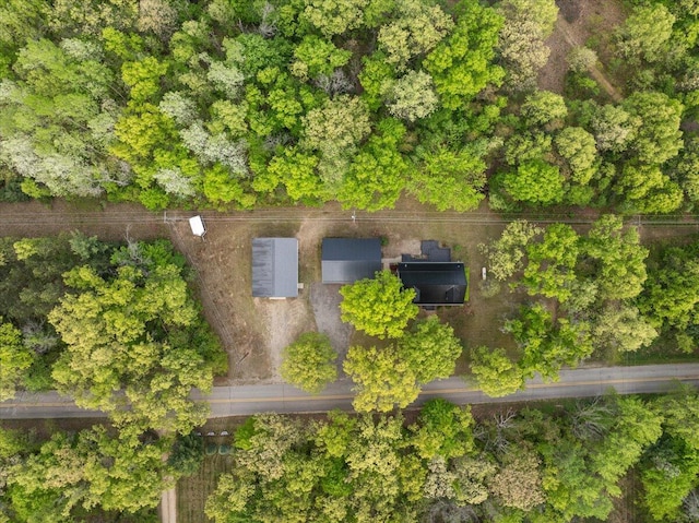 1710 215th Ave, Morley, MI 49336 - drone / aerial view