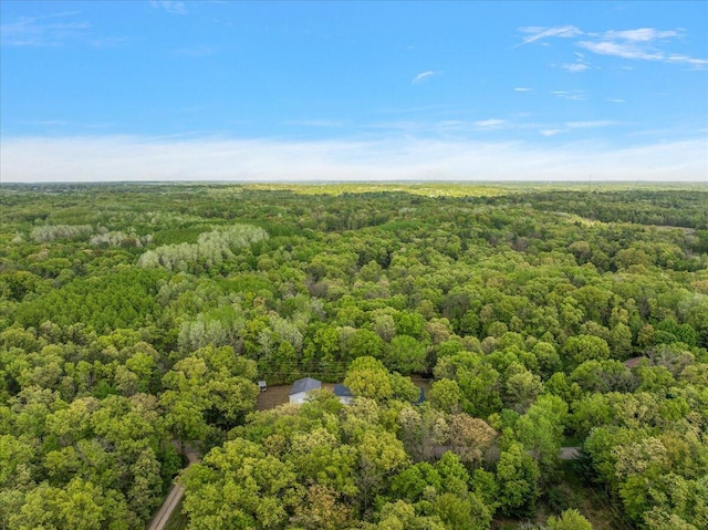1710 215th Ave, Morley, MI 49336 - drone / aerial view of a heavily wooded area