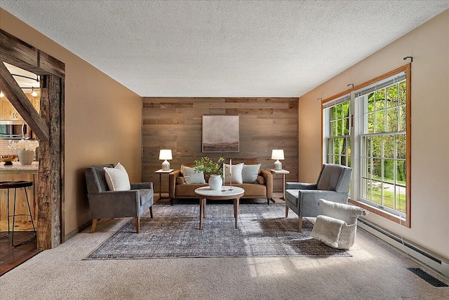 1710 215th Ave, Morley, MI 49336 - sitting room with wood walls, carpet, baseboard heating, a textured ceiling, and an accent wall