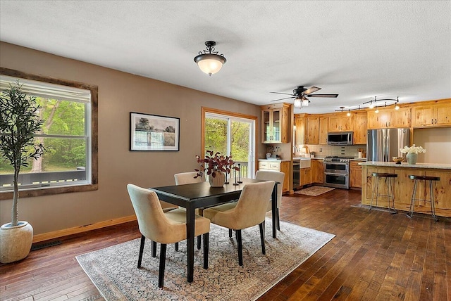 1710 215th Ave, Morley, MI 49336 - dining room featuring healthy amount of natural light, rail lighting, dark wood-style flooring, ceiling fan, and a textured ceiling