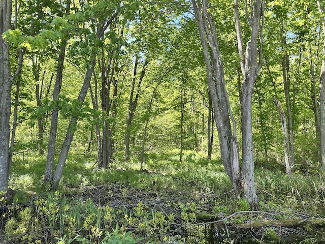 4333 E Town Line Rd, Fountain, MI 49410