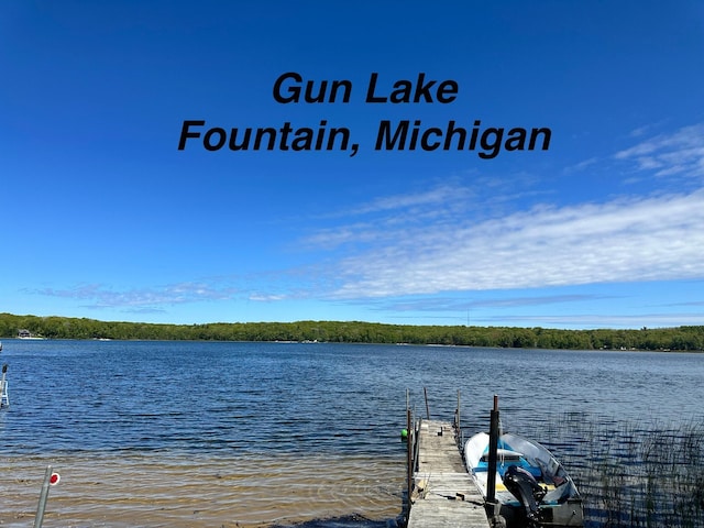 4333 E Town Line Rd, Fountain, MI 49410
