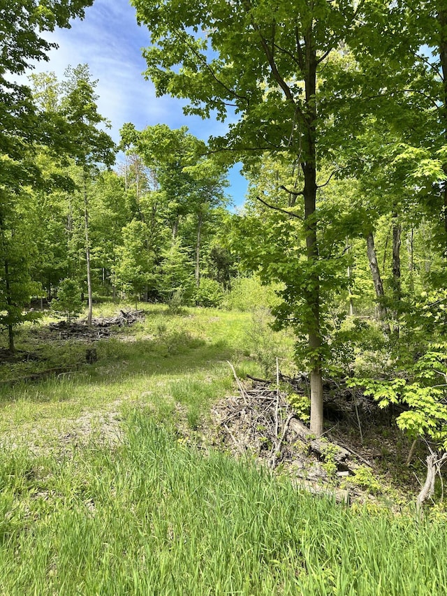 4333 E Town Line Rd, Fountain, MI 49410