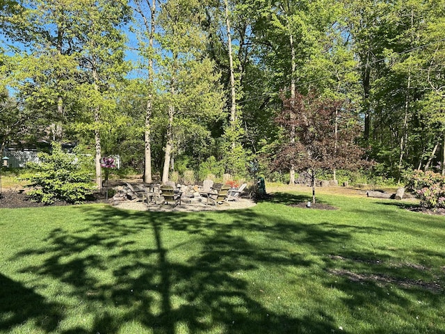 46306 Station Rd, New Buffalo, MI 49117 - view of grassy yard featuring a fire pit