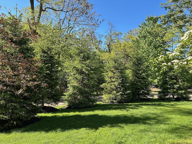 46306 Station Rd, New Buffalo, MI 49117 - view of grassy yard