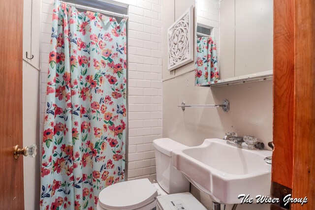 1261 W Channel St, Bitely, MI 49309 - full bathroom with toilet, a shower with curtain, and a sink