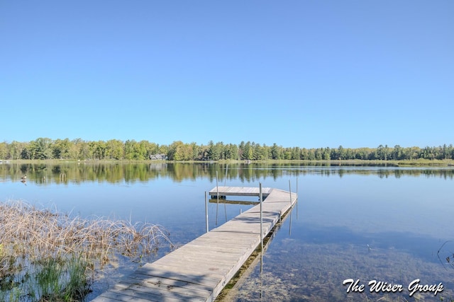 1261 W Channel St, Bitely, MI 49309 - dock area featuring a water view and a forest view